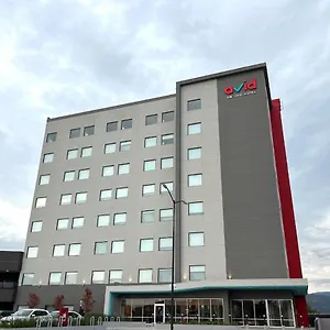 Avid - Guadalajara Av Vallarta Pte By Ihg Mexico